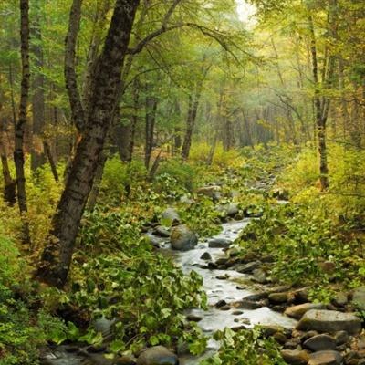 开元ky888棋牌开元登录