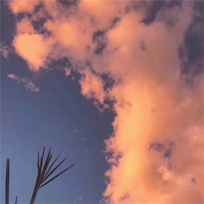 金年会下载手机版